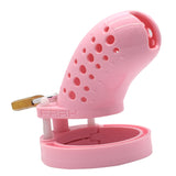 the Cuck Holder - Pink Chastity Cage lock and ring | 3d-chastity