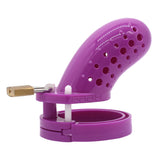 the Cuck Holder - Purple Chastity Cage wearing | 3d-chastity