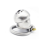 the Inescapable Dungeon: Full Steel Chastity Device 1.69 In main product | 3d-chastity