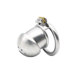the Inescapable Dungeon: Full Steel Chastity Device 1.69 In lock and ring | 3d-chastity