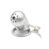 the Inescapable Dungeon: Full Steel Chastity Device 1.69 In wearing | 3d-chastity