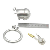 the Inescapable Dungeon: Full Steel Chastity Device 1.69 In size and shape | 3d-chastity