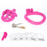 the Teeny Prison -Micro Chastity Cage wearing | 3d-chastity