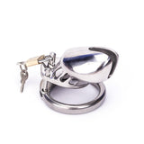 Silver Metal CB6000S 2.76 Inch Long Chastity Cage main product | 3d-chastity