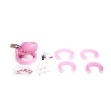 Pink Plastic Chastity Cage CB6000/CB6000S comparison | 3d-chastity