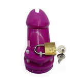 Plastic Sissy Chastity Cage rear | 3d-chastity