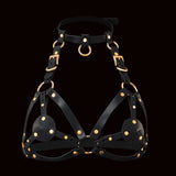 QUEEN'S Harness Chastity Cage wearing | 3d-chastity
