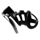 ABS Resin Chastity Lock lock and ring | 3d-chastity