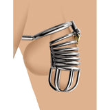 Ultra-complete Chastity Cage with Anal Insertion side | 3d-chastity