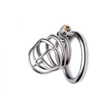 the Pen Deluxe Stainless Steel Locking Chastity Cage main product | 3d-chastity