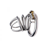 the Pen Deluxe Stainless Steel Locking Chastity Cage lock and ring | 3d-chastity