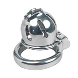 Alice Custom Chastity Cage with PA lock and ring | 3d-chastity