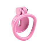 BDSM Bondage Follow-up Pussy Chastity Cage lock and ring | 3d-chastity