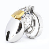 Stainless Steel Penis Cage with Spike Ring