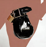 Bound Scrotal Cage Prison Chastity Cage main product | 3d-chastity
