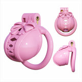 Bow Pot Lid Chastity Cage main product | 3d-chastity