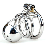 Dome Prince Albert Chastity Cage main product | 3d-chastity
