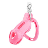 Candy Powder Contract Chastity Cage main product | 3d-chastity