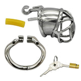 Stainless Steel Stealth Lock Chastity Cage lock and ring | 3d-chastity