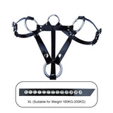 Chastity Cage Belt lock and ring | 3d-chastity