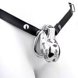 Cobra Curve Chastity Cage lock and ring | 3d-chastity
