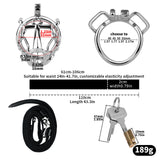 Cosmic Axis Chastity Lock rear | 3d-chastity
