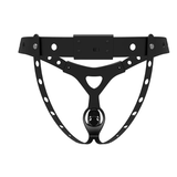Detachable Chastity Belt Anti-Falling Bondage full kit | 3d-chastity
