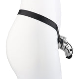 Dolphin Steel Chastity Cage with Anti-ring Removable side | 3d-chastity