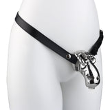 Dolphin Steel Chastity Cage with Anti-ring Removable - 14