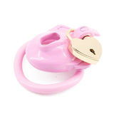 Double Lock Lightweight Chastity Cage lock and ring | 3d-chastity