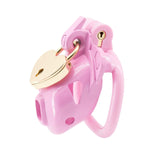 Double Lock Lightweight Chastity Cage size and shape | 3d-chastity
