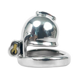 DS Custom Seal Chastity Cage lock and ring | 3d-chastity