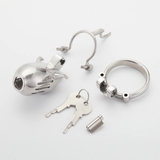 Full Steel Custom Chastity Cage with PA T13 lock and ring | 3d-chastity