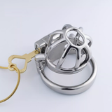 Steel Custom Chastity Cage with PA T14 wearing | 3d-chastity