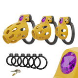 Gem-Inlaid Chastity Cage main product | 3d-chastity