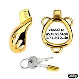 Golden Short Smooth Stainless Steel Mamba Cage with Belt Chastity Cage material finish close | 3d-chastity