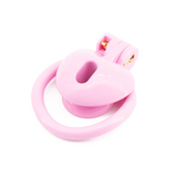 Heart Shape Chastity Cage rear | 3d-chastity