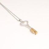 Heart Shaped Chastity Key Necklace Cage material finish close | 3d-chastity