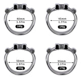 Heavy Duty Flat Chastity Cage lock and ring | 3d-chastity