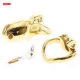 Gold HTV3 Chastity Cage full kit | 3d-chastity