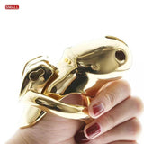 Gold HTV3 Chastity Cage material finish close | 3d-chastity