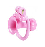 Inverted Morning Glory Chastity Cage lock and ring | 3d-chastity