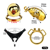 Lock Him Up Chastity Cage full kit | 3d-chastity