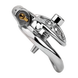 Locked In Love Chastity Cage lock and ring | 3d-chastity