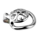Locked In Love Chastity Cage full kit | 3d-chastity