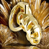Aluminum Alloy Luxury Chastity Cage material finish close | 3d-chastity
