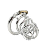Metal Chastity Cage 2.56 Inch Long lock and ring | 3d-chastity