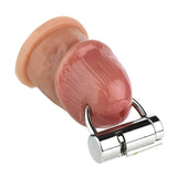 Metal PA Lock Chastity Cage main product | 3d-chastity
