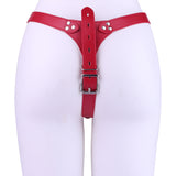 Metal Shell Shaped Chastity Belt Invisible full kit | 3d-chastity