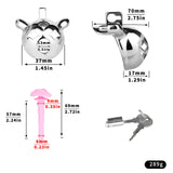 Meteor Chastity Lock full kit | 3d-chastity